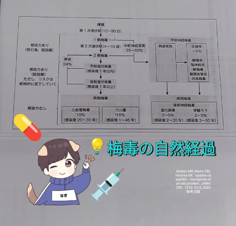 『なぎ成長日記50』～梅毒のお勉強①～