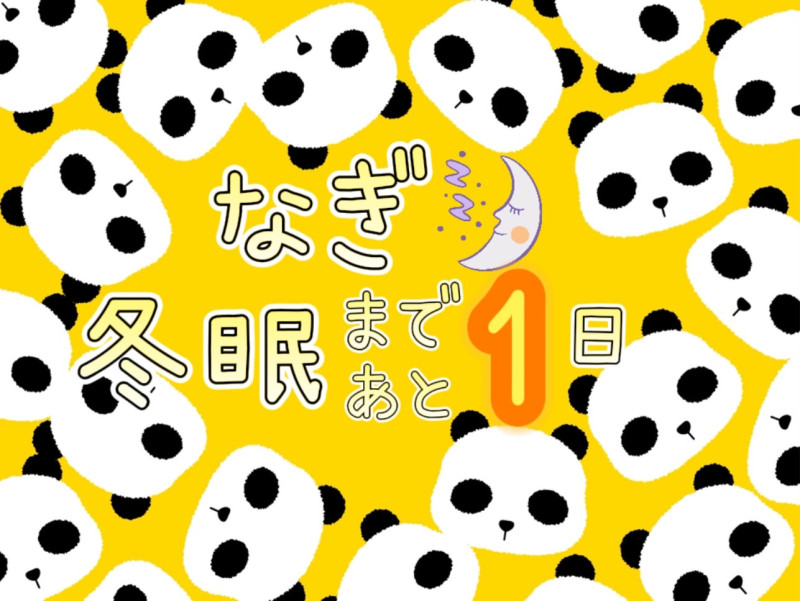 『なぎ成長日記②☆70☆（430）』～活動休止～