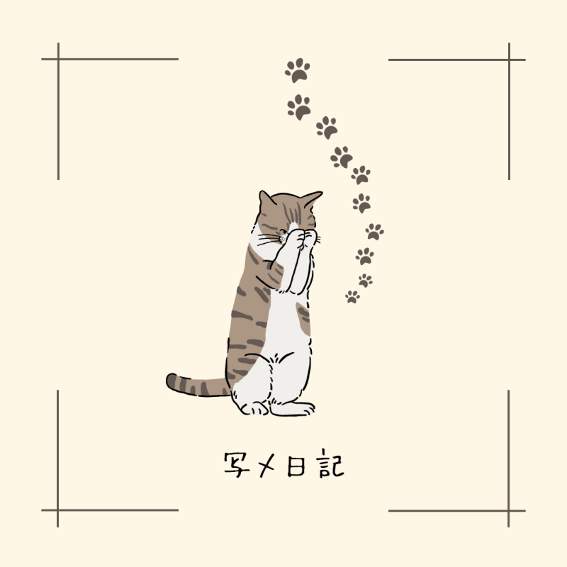 よっちゃんイカで釣れた夏と、検索では見つからない宝物