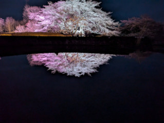 冬からすっかり春に…