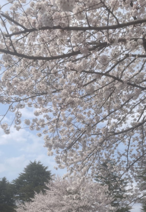 あっという間