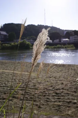 自然を感じて青空の下でしか得られないもの