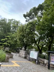 公園まで散歩