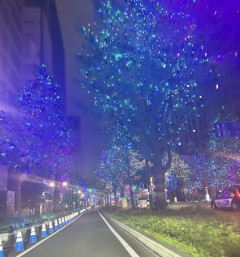 御堂筋きれいだったー