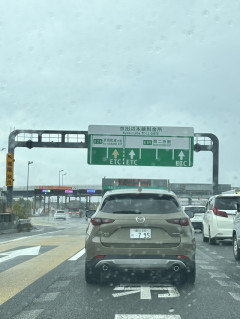 雨出張՞⸝⸝&gt; ̫ &lt;⸝⸝՞
