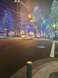 やっぱり綺麗