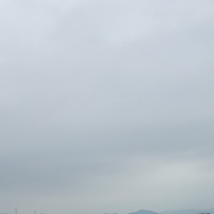 幸福の日✨