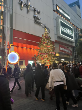 街中で今日5度目のツリー