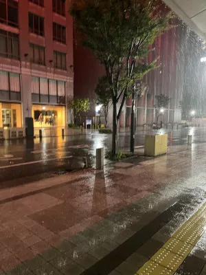 雨で路頭に迷う