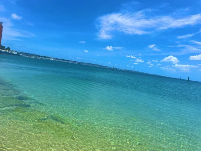 夏は海行きたくなるよね