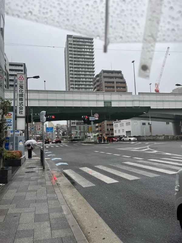 散歩と思ったら雨