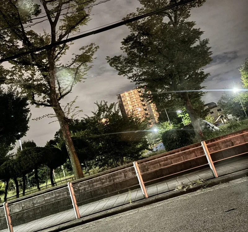 夜の公園のドキドキ感