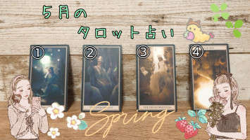 2025年5月のタロット占い、結果発表✨