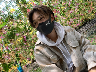 桜の雑学