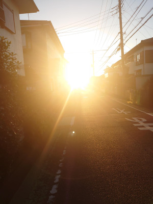 ほっこりする話し