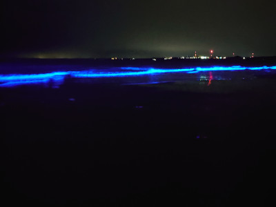 聖なる夜が終わったら