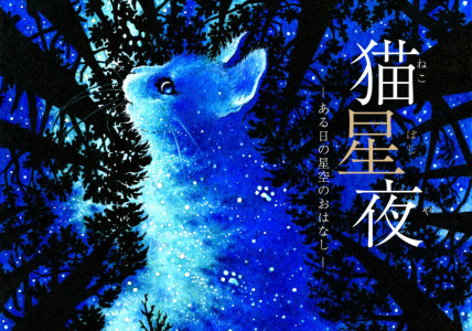 ショート日記㉖：猫星夜