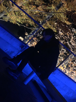 春に贈ることわざ