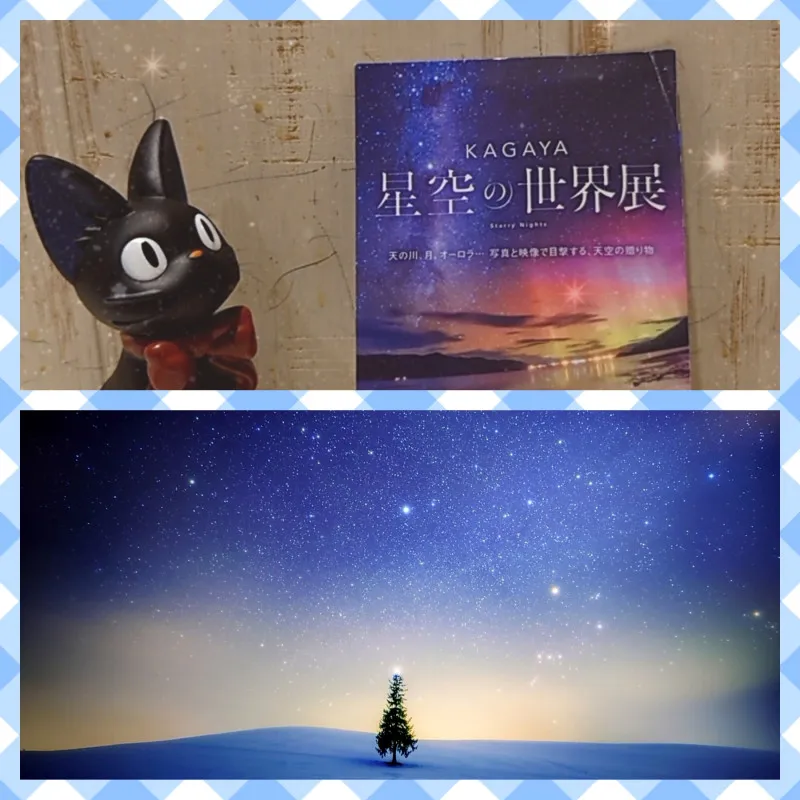 星空の世界展