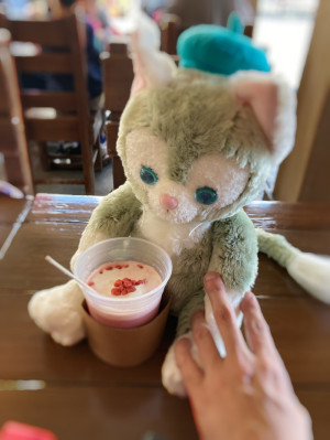 お迎えしました