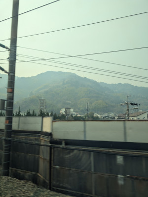 【春霞】