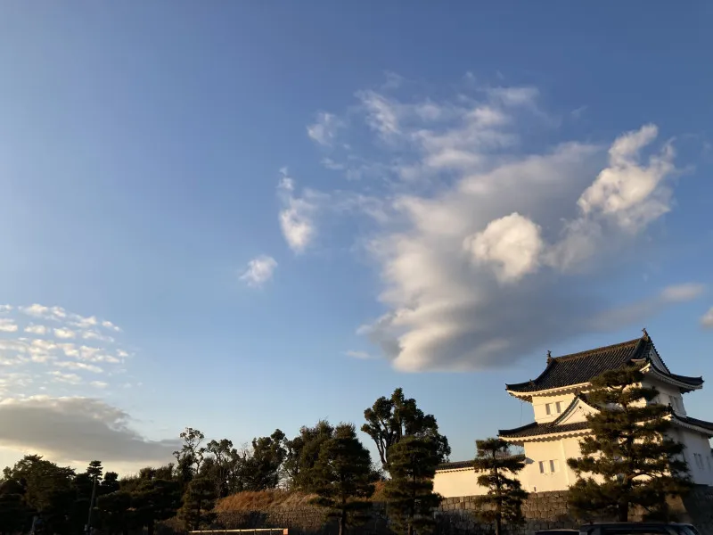 新年の抱負