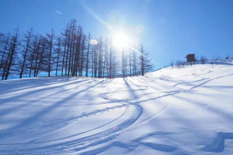 ぜんぶ雪のせいだ。　【スノボデートコース】