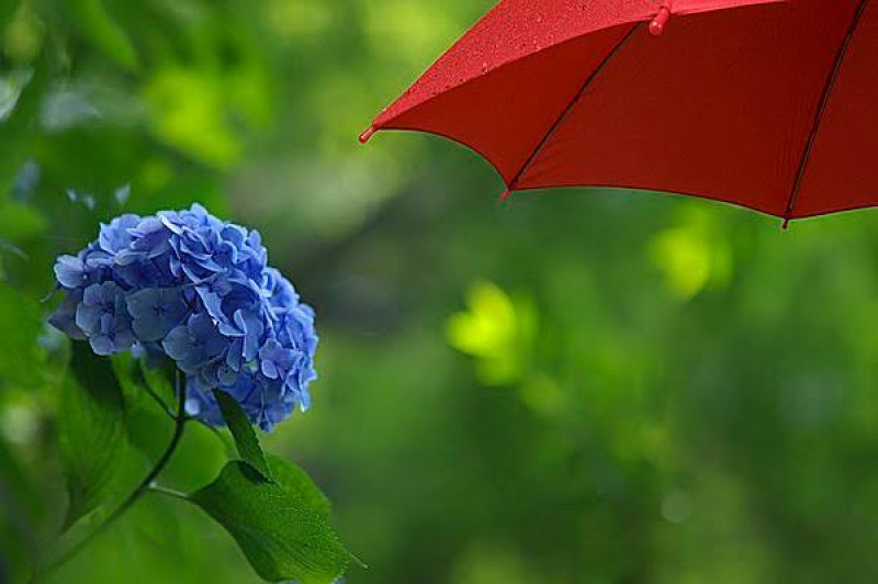 雨のち晴れ