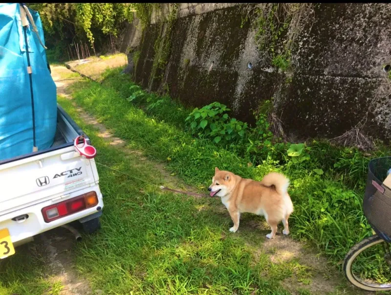 帰省時に必ずしていること