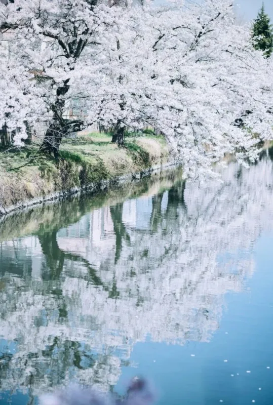 水面