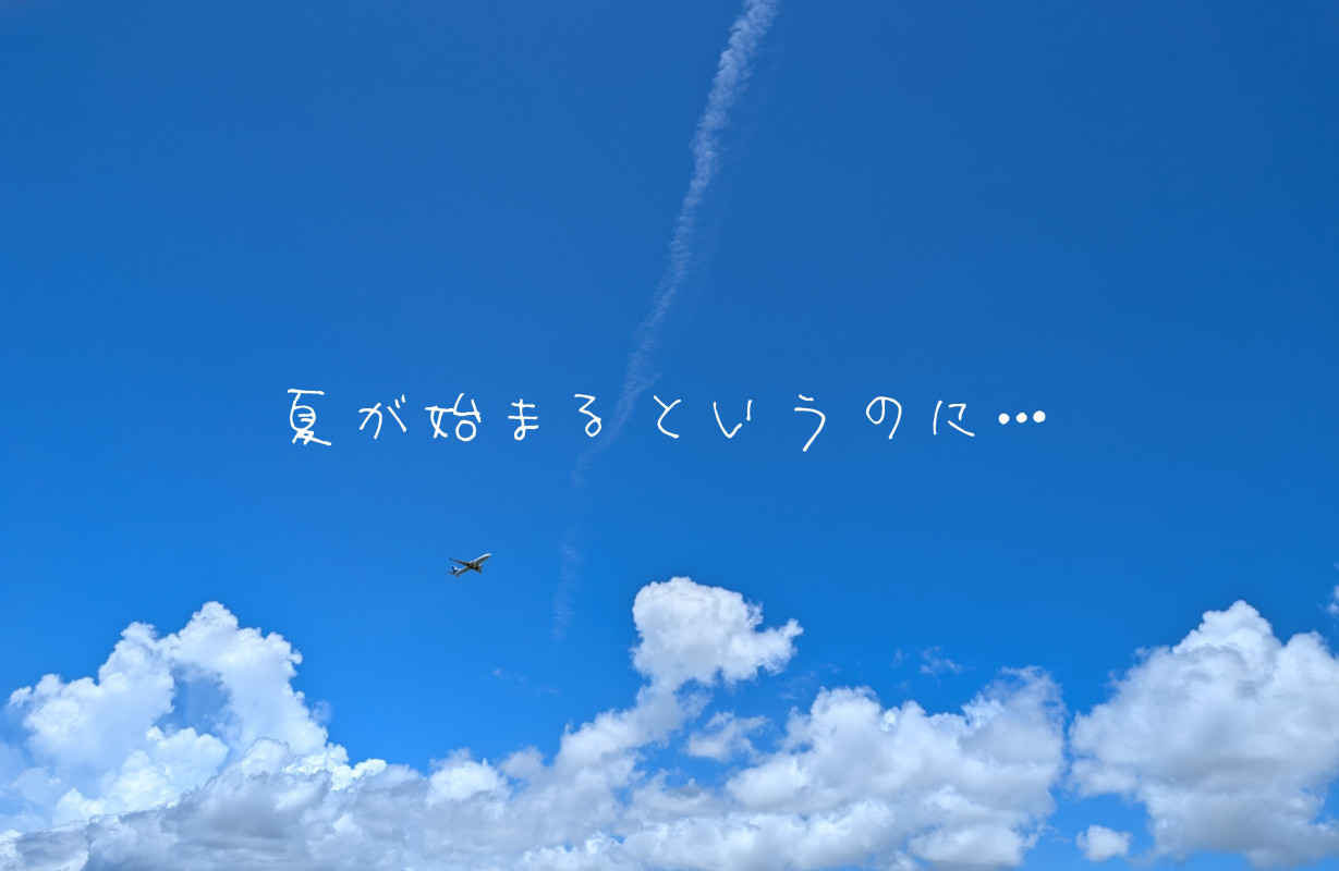 【三陰が選ぶ夏ソング】