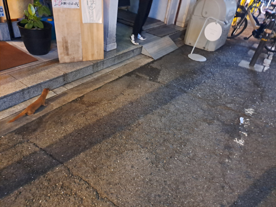 大阪で見つけた謎の生物