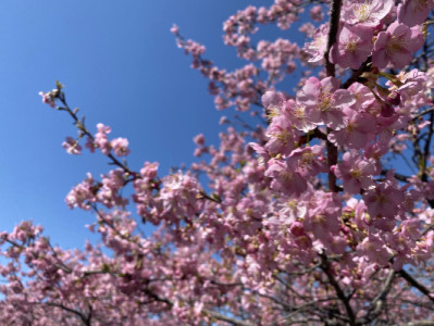 おはようございます！今日も元気にがんばりましょうー