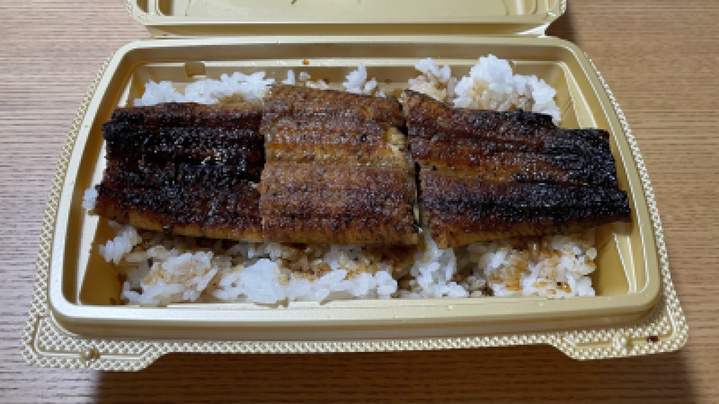 ぎなう〜
