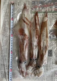 初体験?