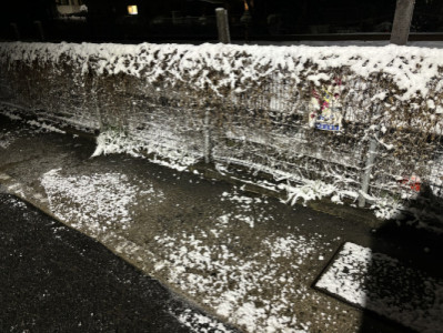 雪が…