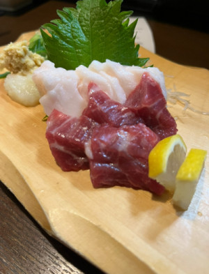 馬刺しからの恋！？
