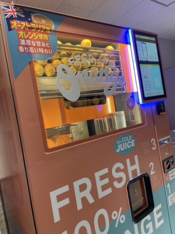 ポカポカ陽気でお花見日和?