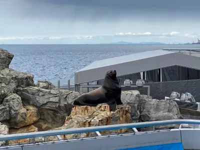 水族館派？動物園派？