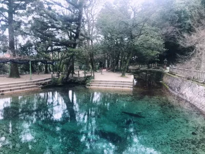 解明されていない青い池