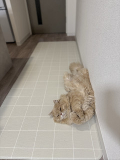 はじめてでも大丈夫