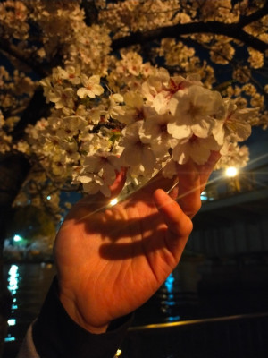 嫉妬･妬みは持っていてもいい･･･