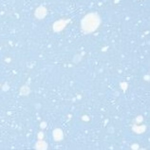 ❄︎雪❄︎