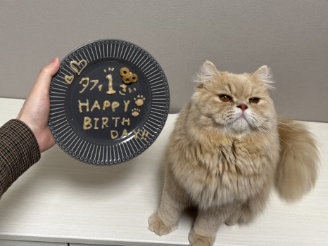 僕のルーツ