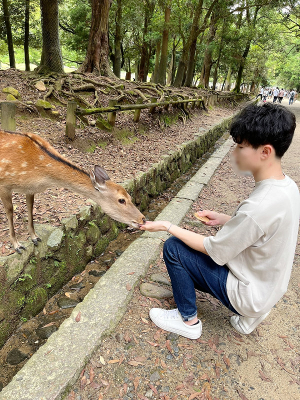 【風太郎クイズ】