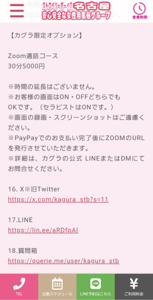 カグラ限定オプションのお知らせ