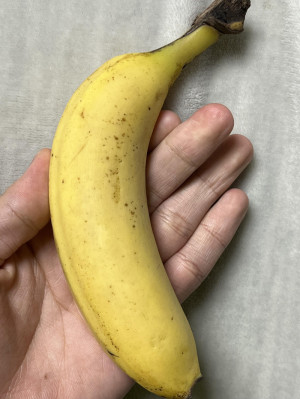 アソコが…XLサイズ！？