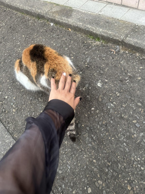 お久しぶりです！（n回目）
