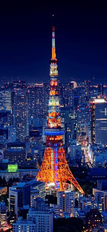 最近の良い発見
