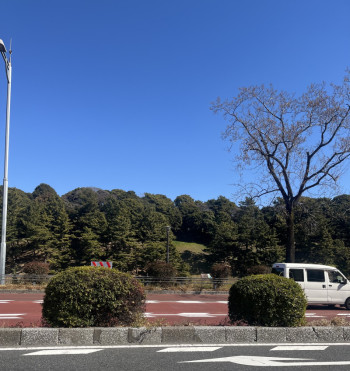 青空と皇居ラン、爽快な景色